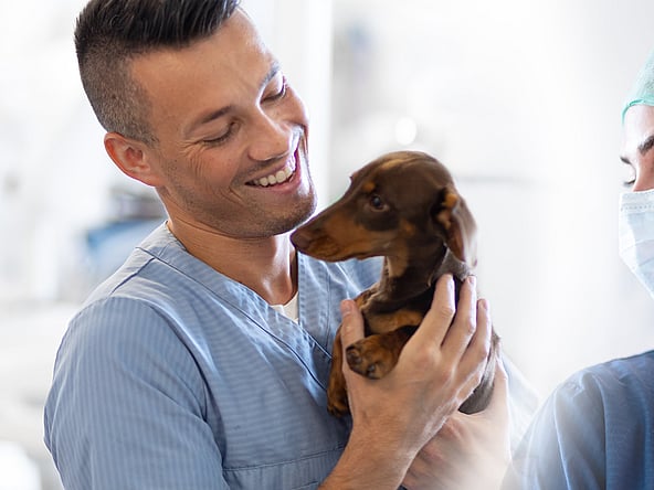 A couple of vets holding a dog.