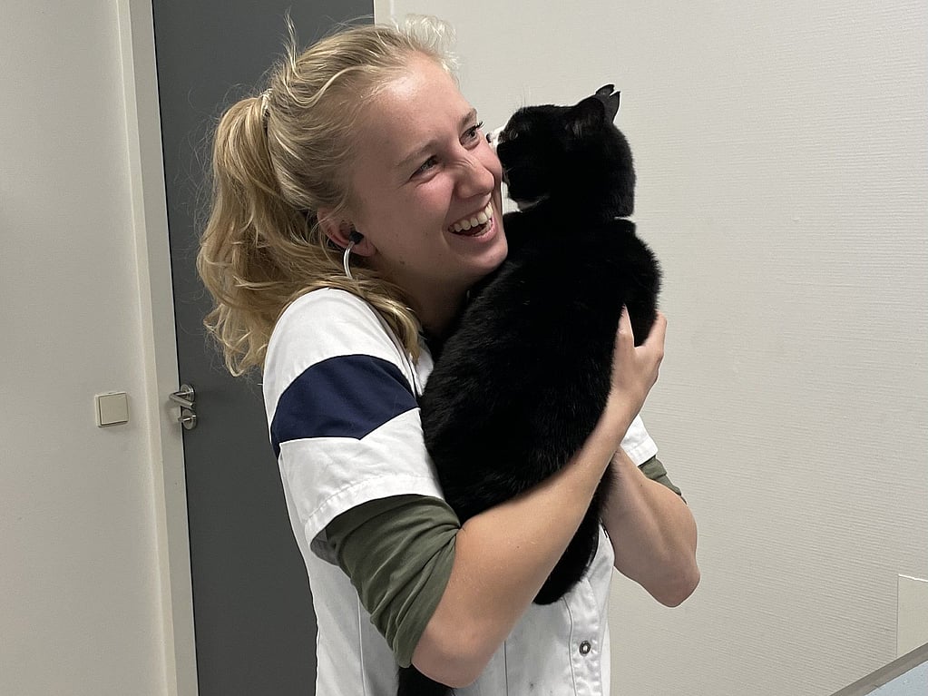 A person holding a cat.