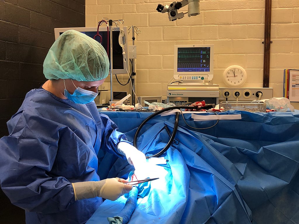 A person in scrubs and mask performing surgery.