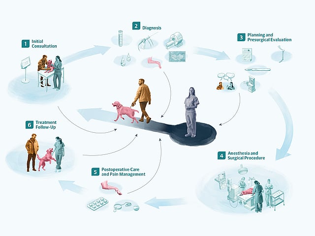 A diagram of people walking a dog.